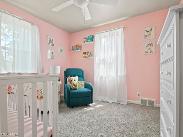 2041 Kirk Road Youngstown, OH 44511 - Photo 11 of 20 Gallery Image 11