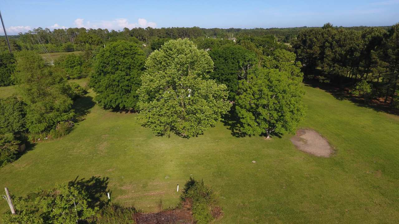 6545 County Road 19 Foley, AL 36535 - Photo 27 of 34