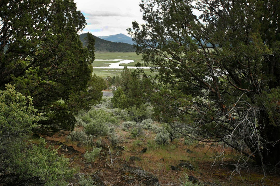 Lot 1 Drews Ranch Road Chiloquin, OR 97624 - Photo 6 of 8 em1000 COVER SHOT