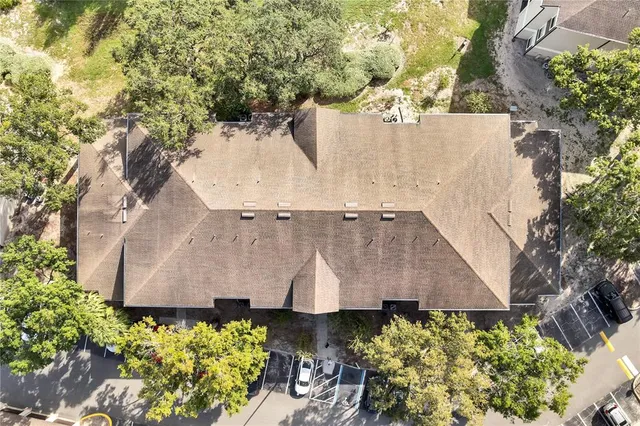 a view of a garden with plants