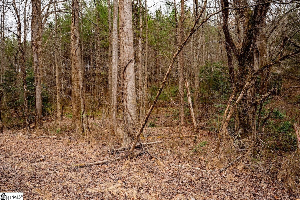 0 Dalton Road Marietta, SC 29661 - Photo 2 of 10