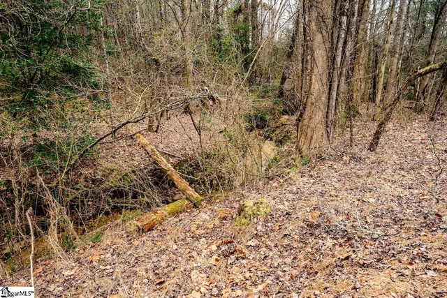 $310,000 | 0 Dalton Road, Marietta, SC 29661