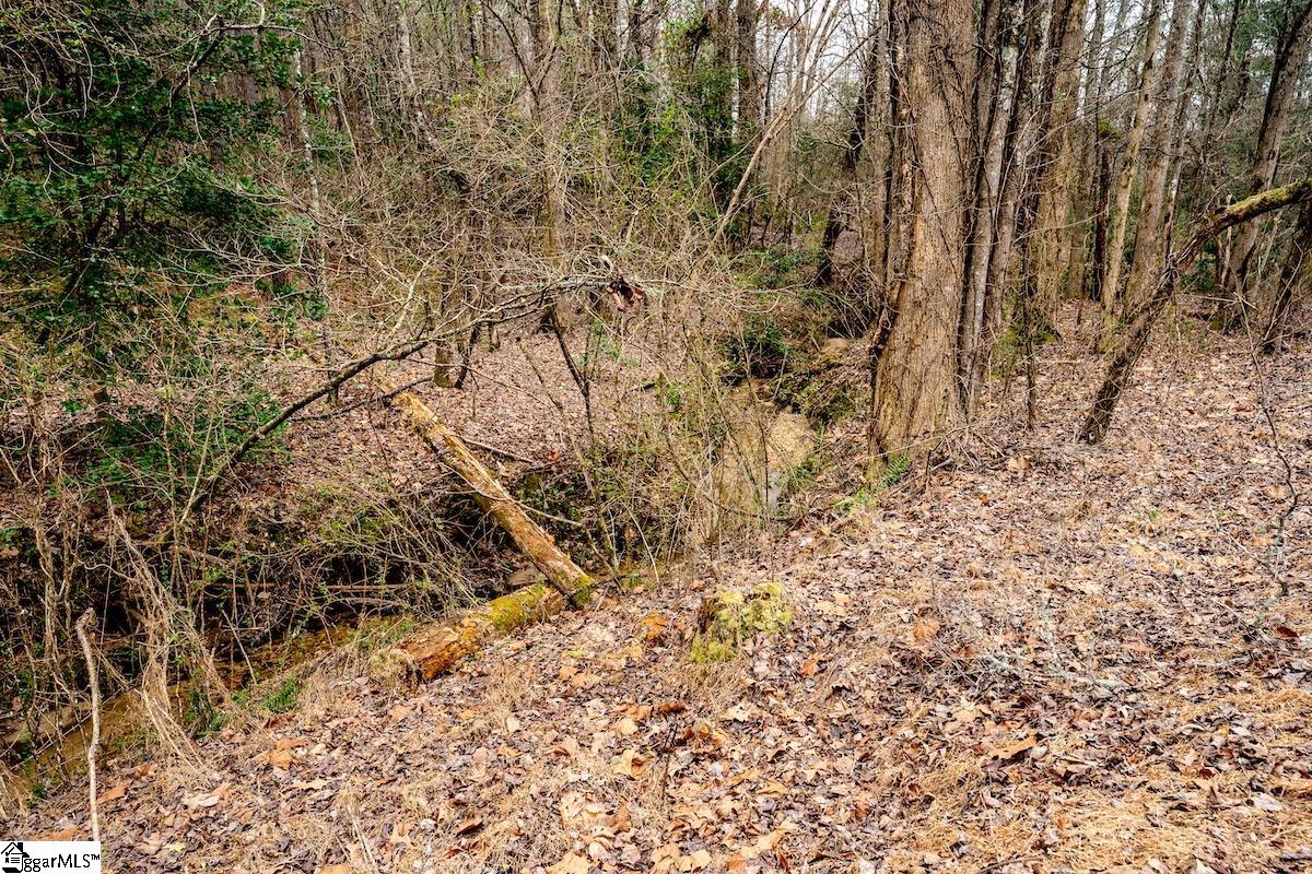 0 Dalton Road Marietta, SC 29661 - Photo 3 of 10