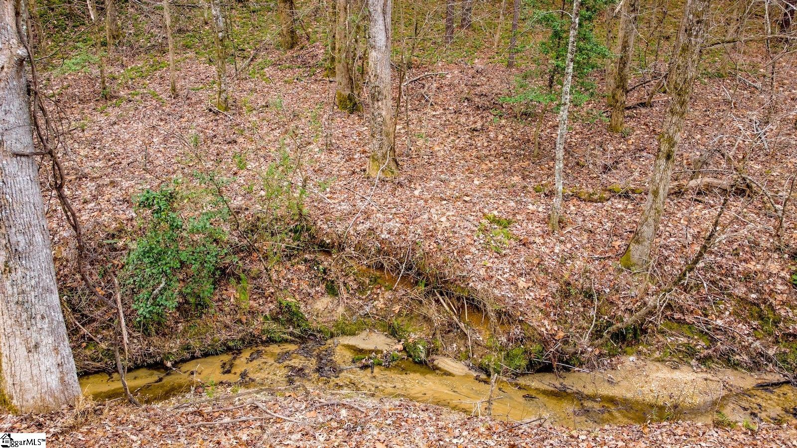 0 Dalton Road Marietta, SC 29661 - Photo 4 of 10