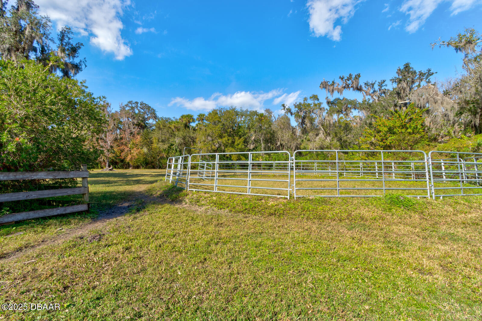 3051 Ragis Road Edgewater, FL 32132 - Photo 60 of 76 Gated Pasture