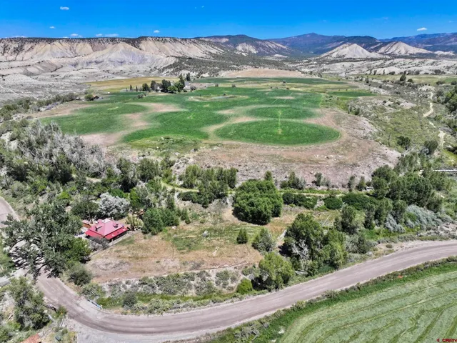 a view of a garden with a lake