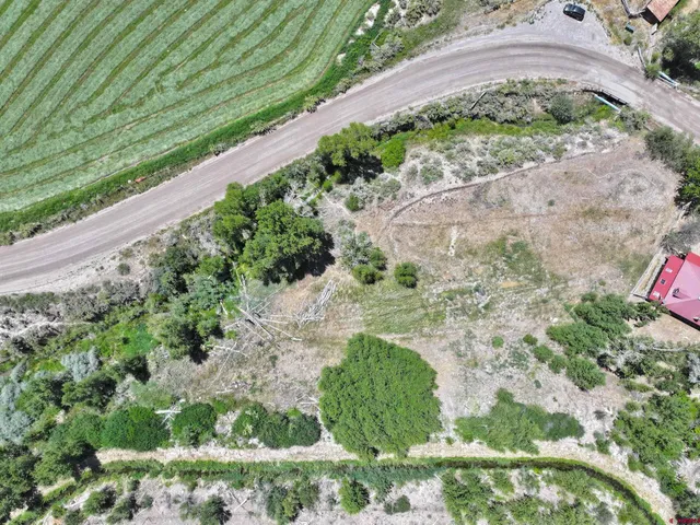 a view of a garden with a pathway