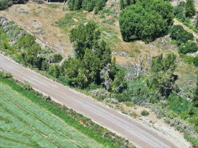 a view of a yard with plants