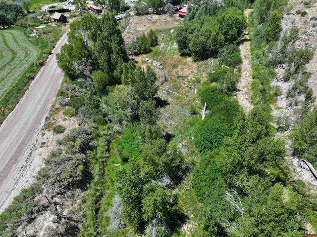 a view of a garden with a house