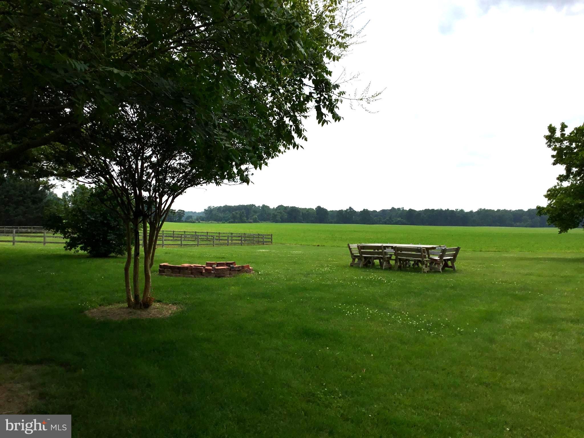 272 Granny Branch Road Church Hill, MD 21623 - Photo 11 of 14 a view of a garden with lawn chairs and a large tree