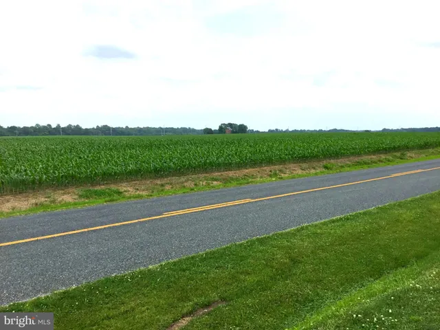 a view of a green field with an ocean view