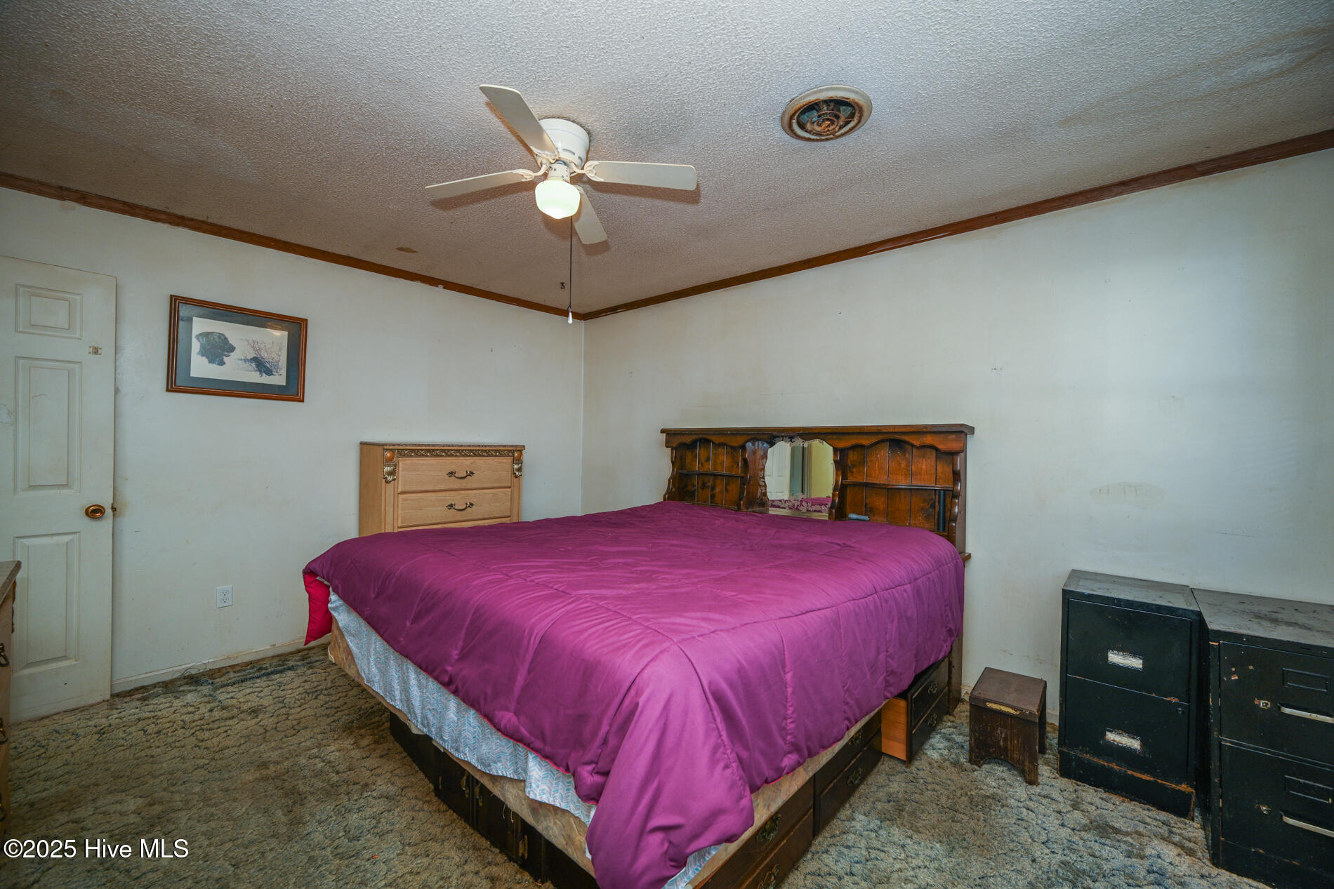 147 Baxter Estates Road Currituck, NC 27929 - Photo 17 of 25 Baxter Lane-32