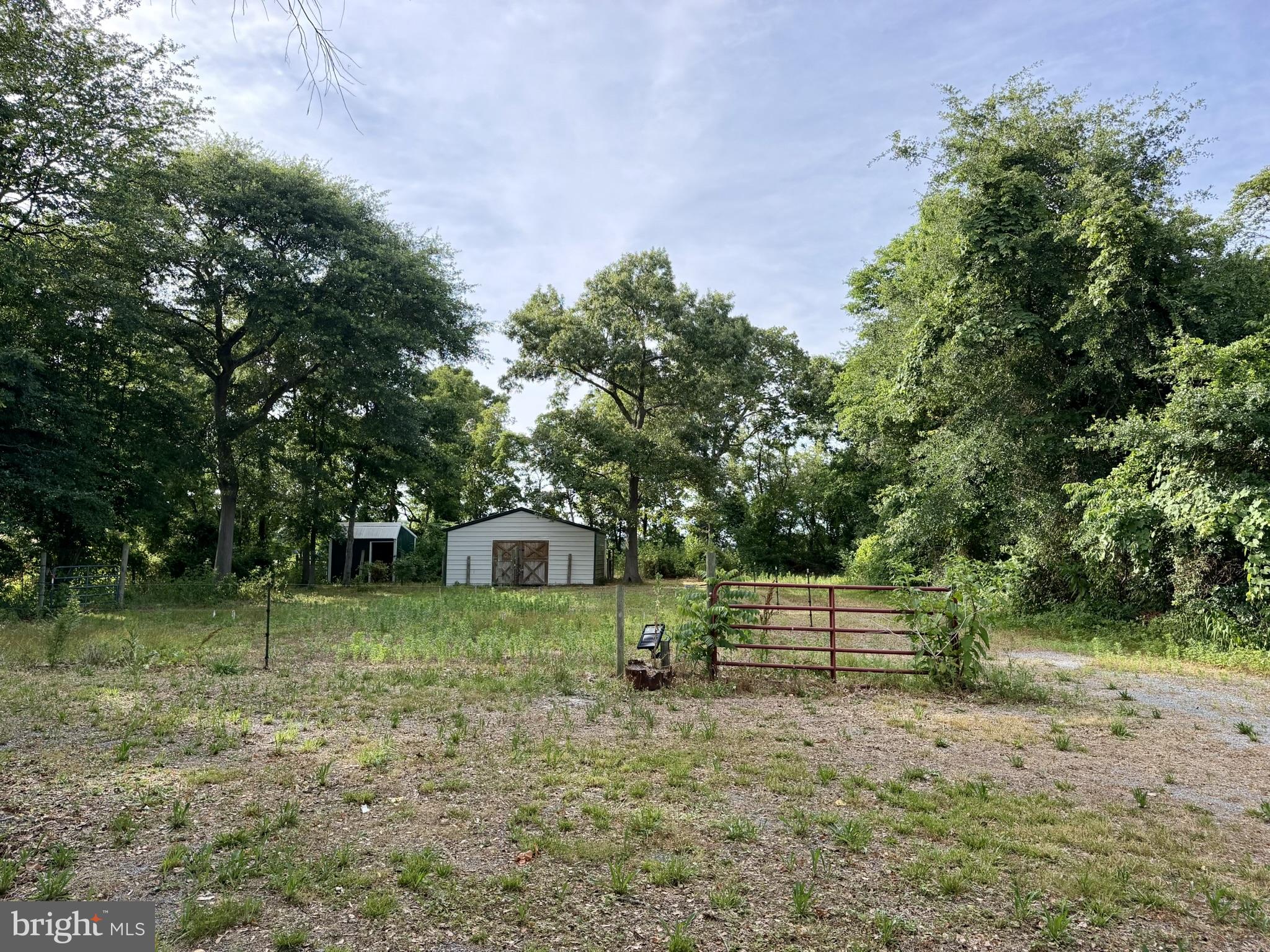 6707 Sharptown Road Laurel, DE 19956 - Photo 13 of 25 back yard / pastures