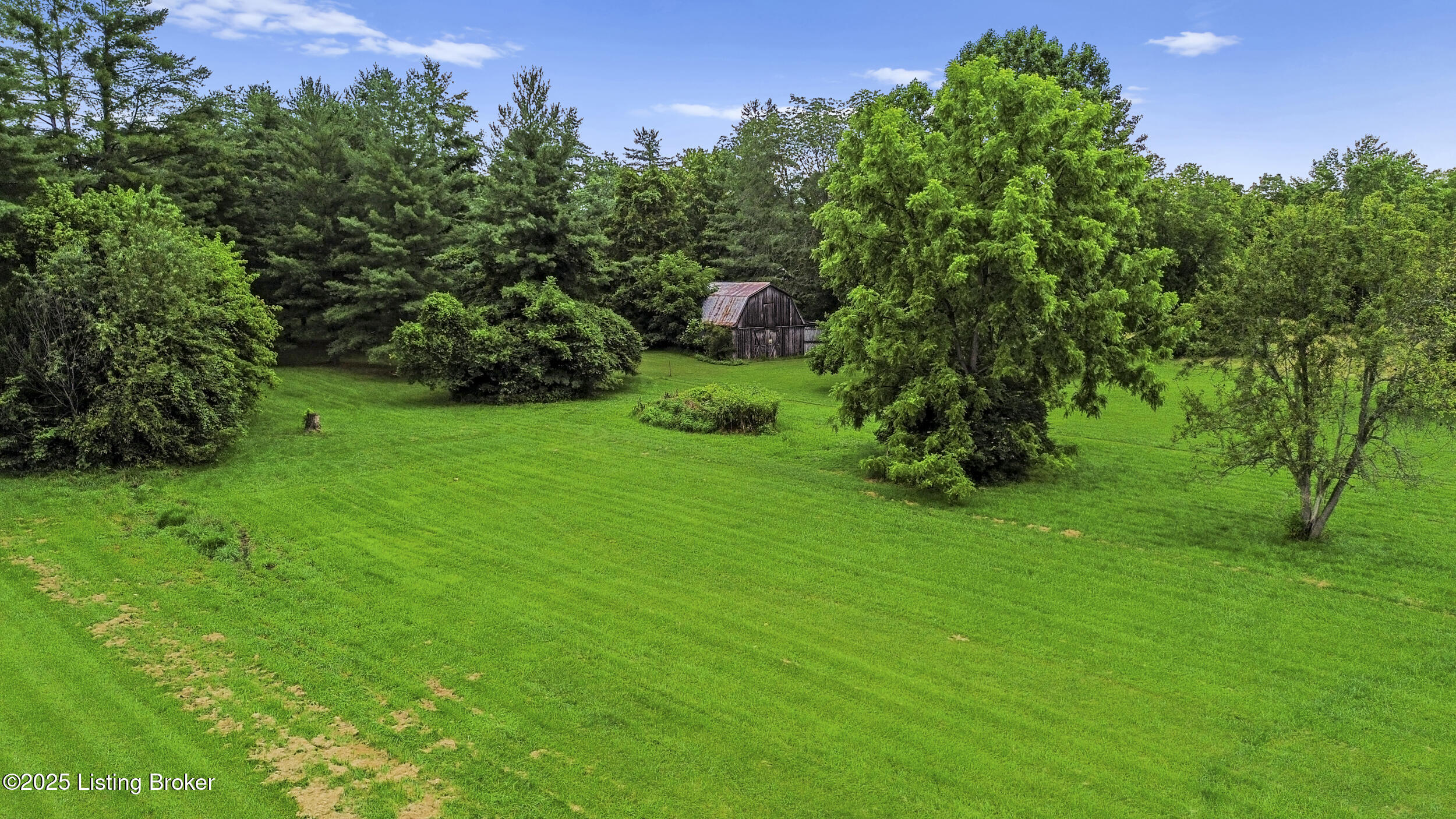 4603 Evergreen Road Crestwood, KY 40014 - Photo 8 of 24 dji_0589