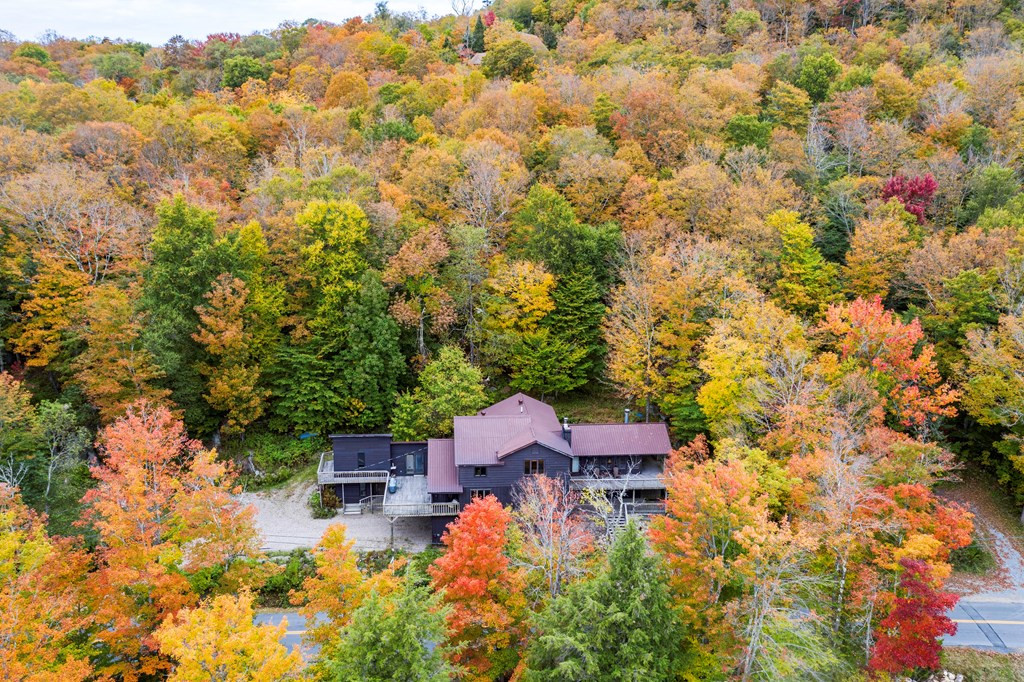 367 Hollywood Road Old Forge, NY 13420 - Photo 8 of 27