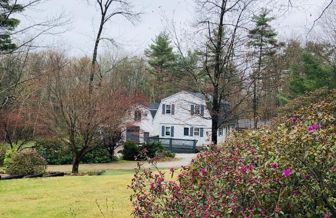 316 Meredith Neck Road Meredith, NH 03253 - Photo 5 of 20