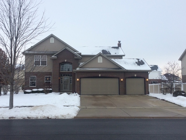 859 Blarney Road New Lenox, IL 60451 - Photo 1 of 25