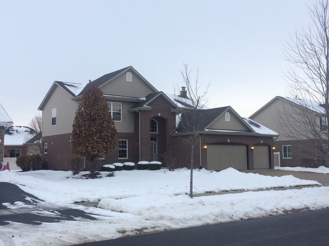 859 Blarney Road New Lenox, IL 60451 - Photo 2 of 25