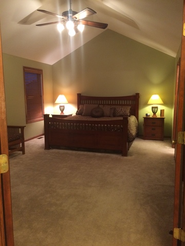 859 Blarney Road New Lenox, IL 60451 - Photo 12 of 25