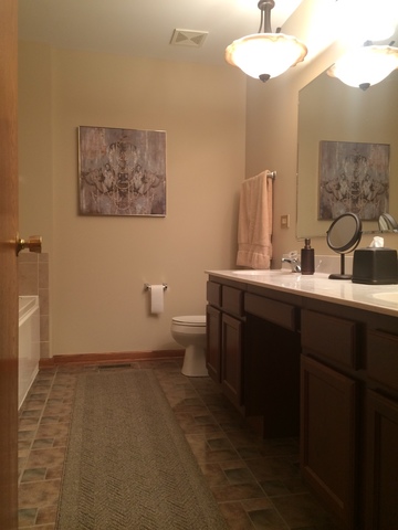 859 Blarney Road New Lenox, IL 60451 - Photo 14 of 25