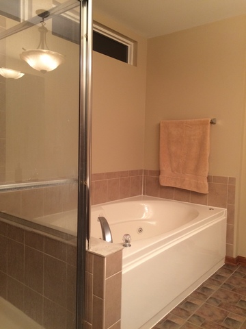 859 Blarney Road New Lenox, IL 60451 - Photo 15 of 25