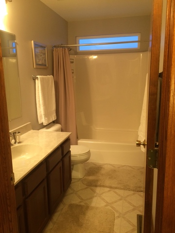 859 Blarney Road New Lenox, IL 60451 - Photo 17 of 25