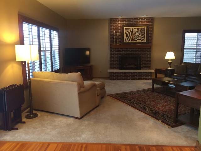 859 Blarney Road New Lenox, IL 60451 - Photo 4 of 25