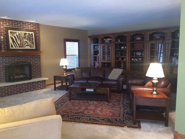 859 Blarney Road New Lenox, IL 60451 - Photo 5 of 25
