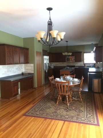 859 Blarney Road New Lenox, IL 60451 - Photo 7 of 25