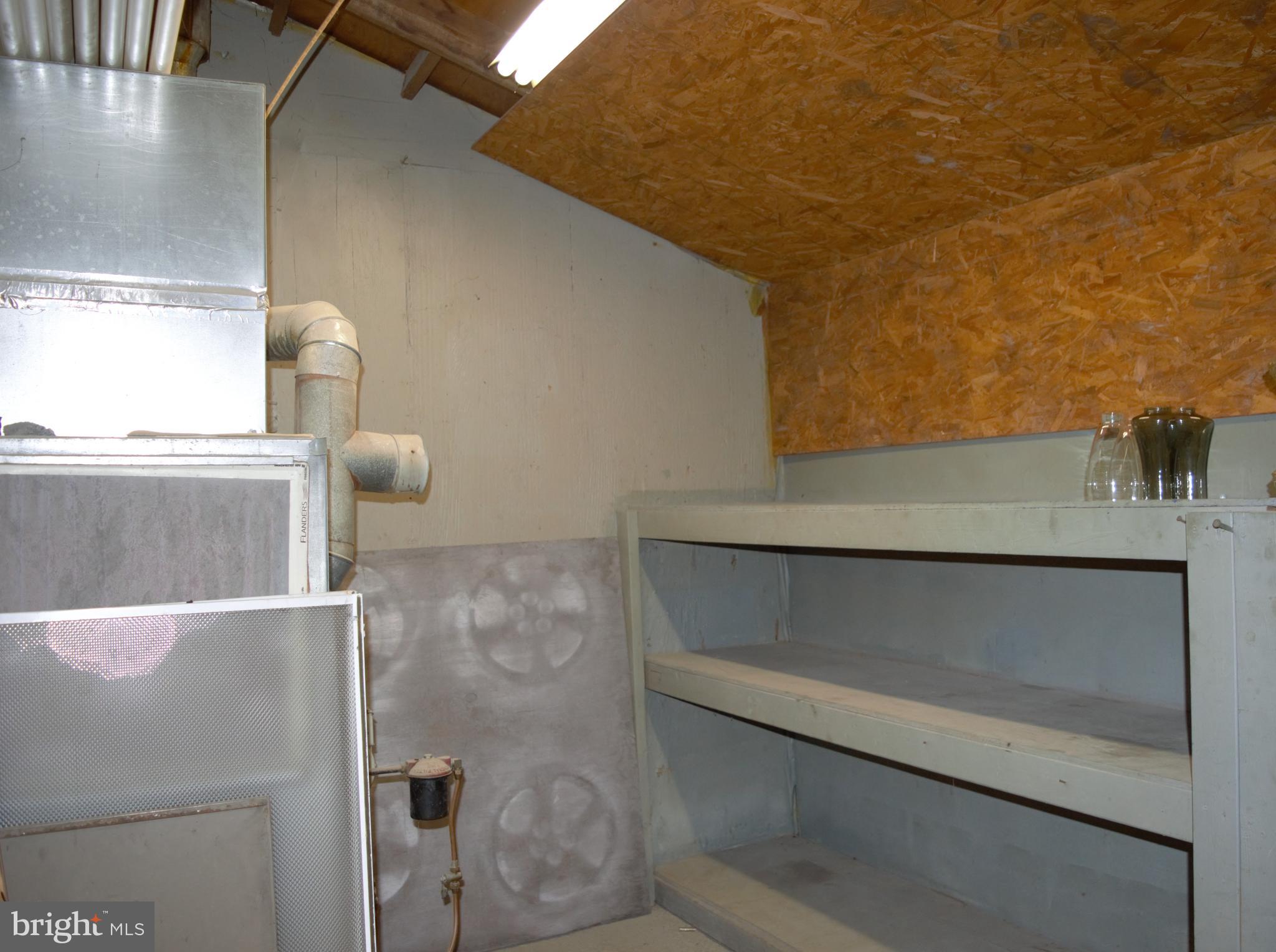 486 Welltown Road Winchester, VA 22603 - Photo 30 of 36 Storage in Garage