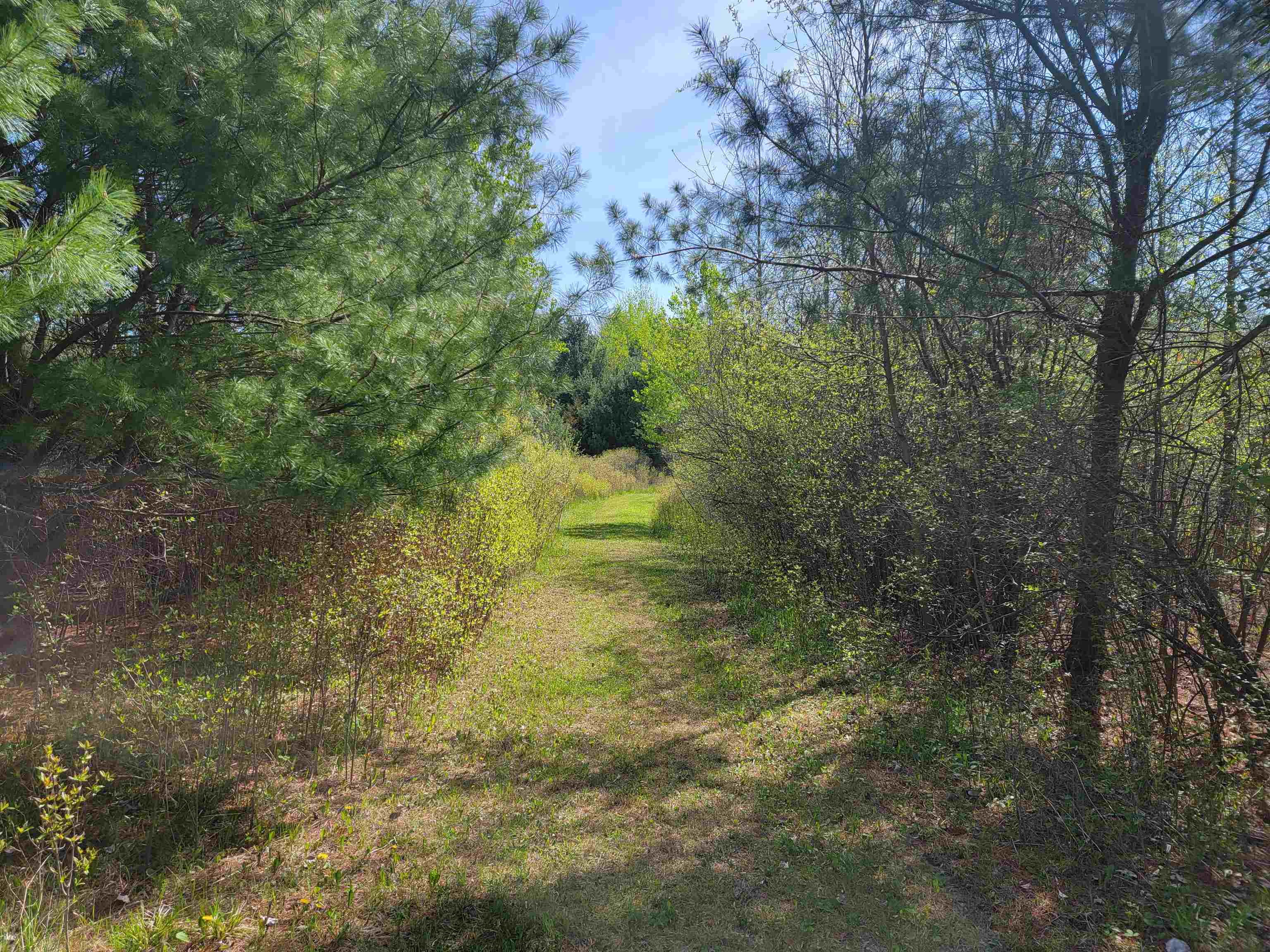 Three 3 Rivers Road Gladwin, MI 48624 - Photo 1 of 4
