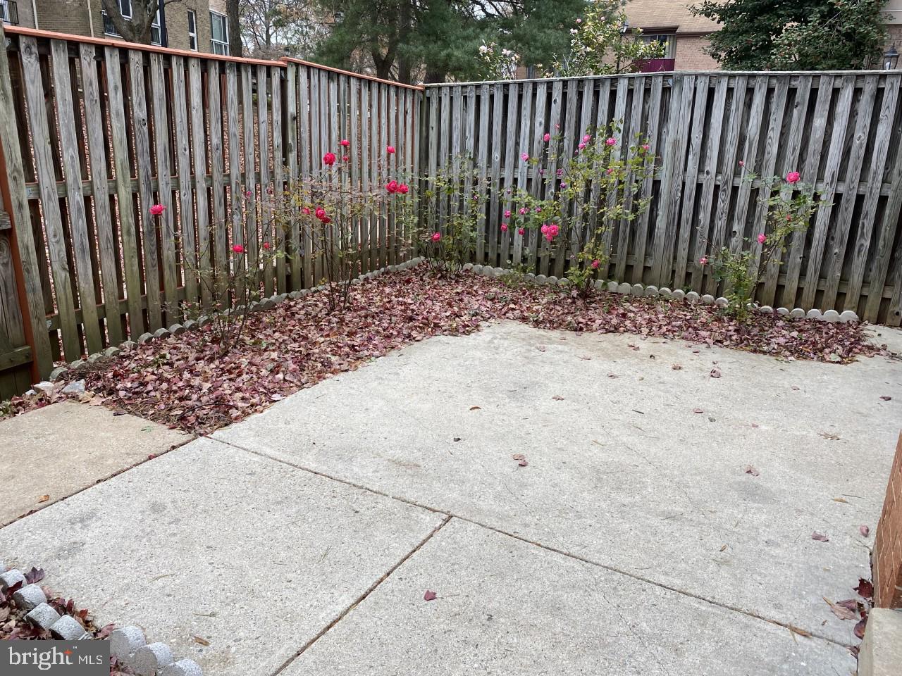 10410 Faulkner Ridge Circle, Unit 36 Columbia, MD 21044 - Photo 2 of 23 Patio-Welcoming roses