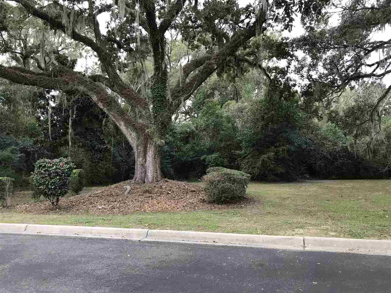 3100 Dian Road, Unit 404 Tallahassee, FL 32304 - Photo 22 of 28 Gallery Image 22