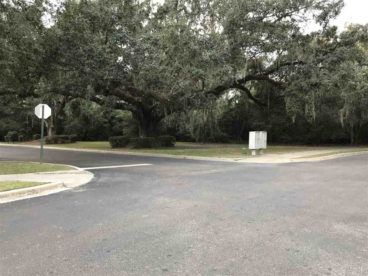 3100 Dian Road, Unit 404 Tallahassee, FL 32304 - Photo 27 of 28 Gallery Image 27