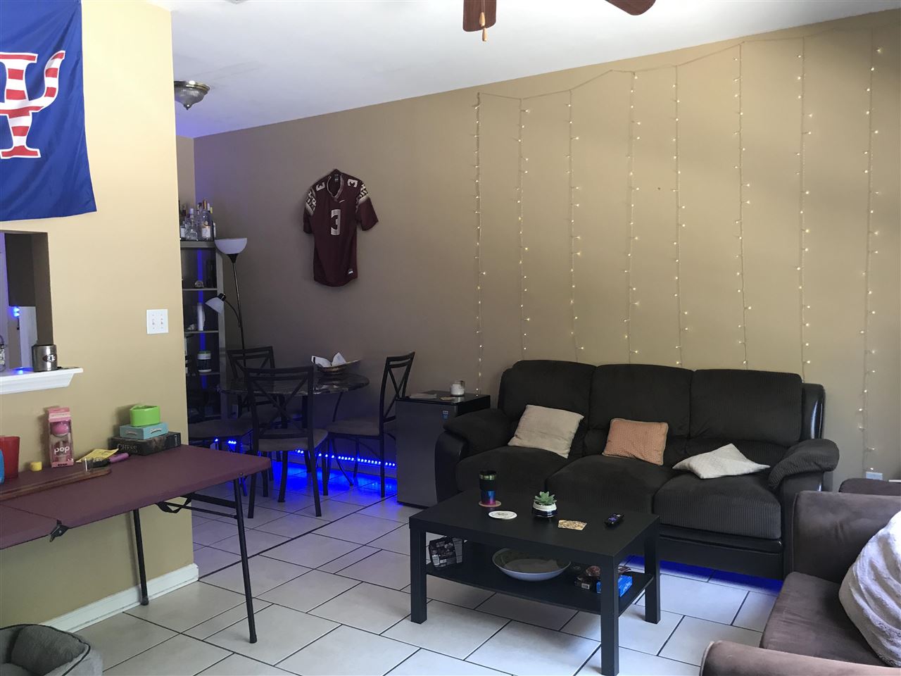 3100 Dian Road, Unit 404 Tallahassee, FL 32304 - Photo 4 of 28 Gallery Image 4