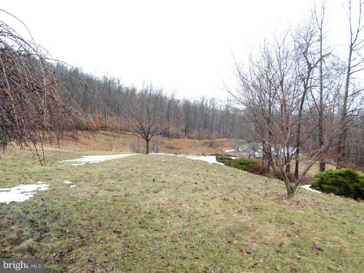 545 Estate Road Morgantown, PA 19543 - Photo 5 of 25 Gallery Image 5