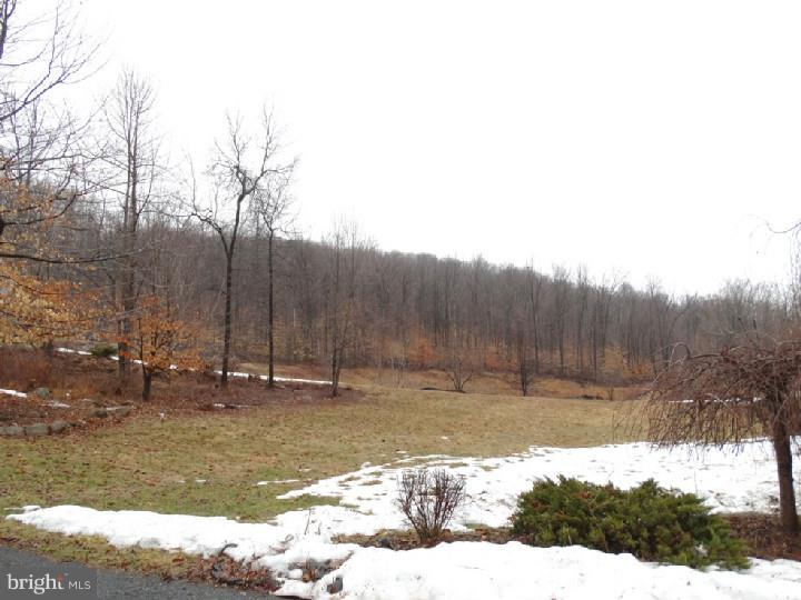 545 Estate Road Morgantown, PA 19543 - Photo 6 of 25 Gallery Image 6