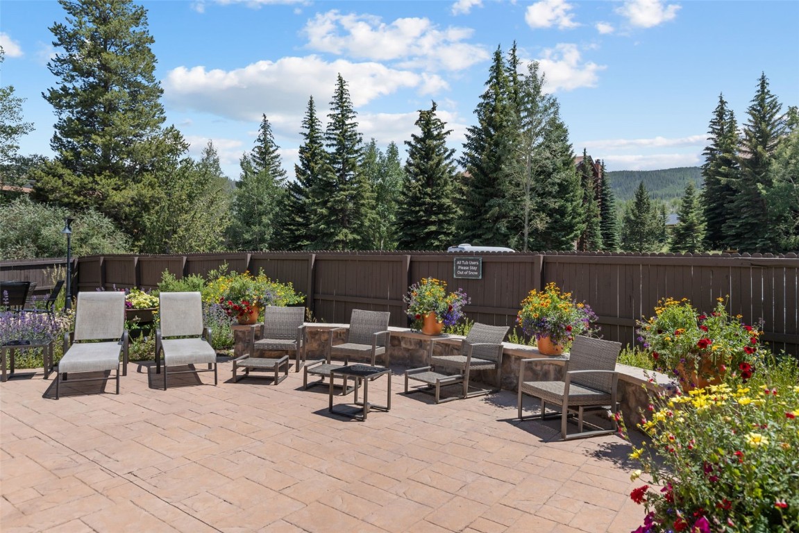 500 Bills Ranch Road, Unit 161 Frisco, CO 80443 - Photo 33 of 38 a view of backyard with seating space and trees