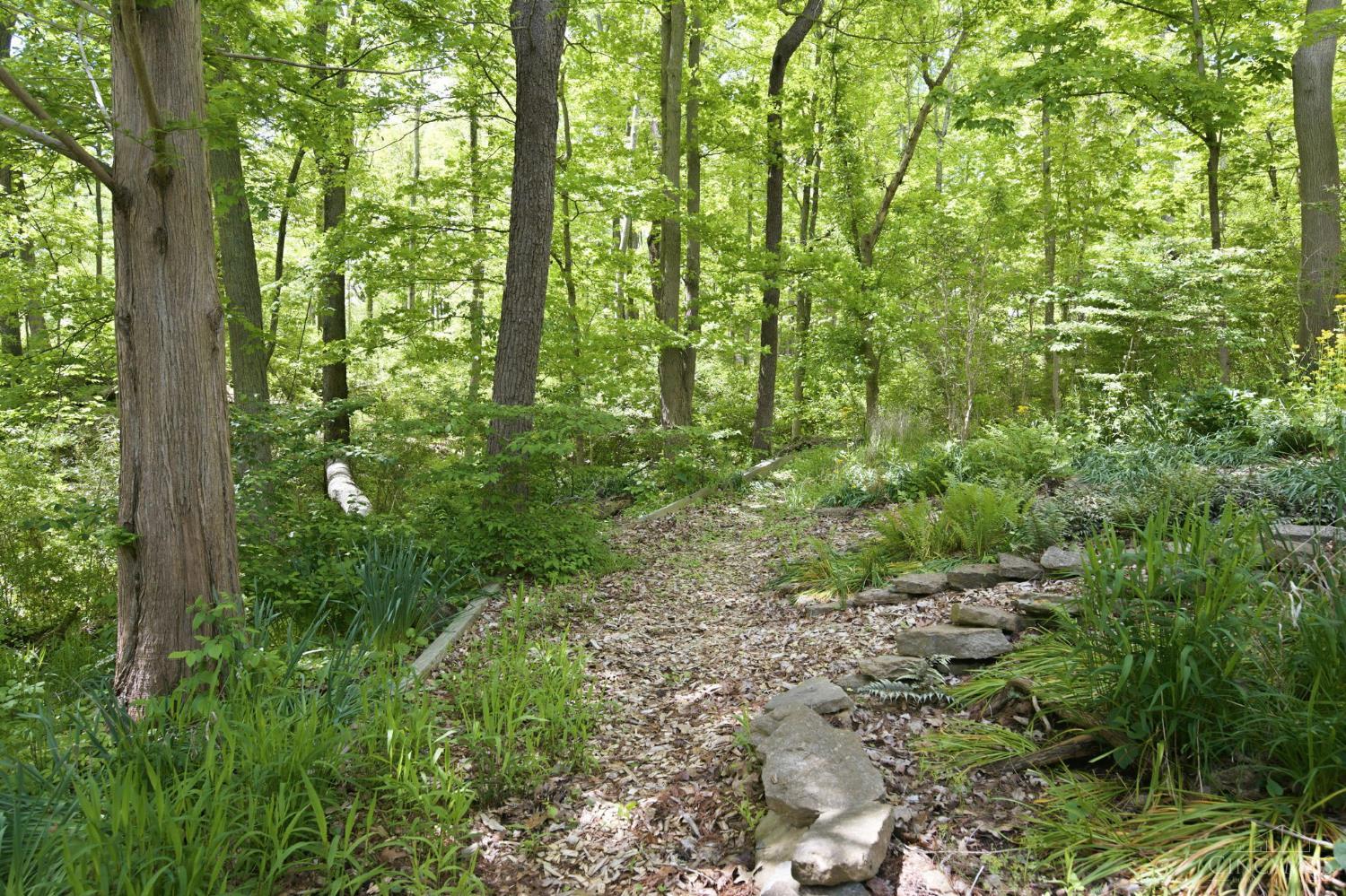 9546 Cunningham Road Cincinnati, OH 45243 - Photo 88 of 95