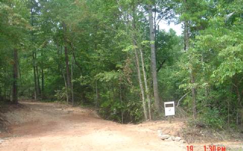 Lot 2 Evergreen Ridge Road Ellijay, GA 30536 - Photo 1 of 1 a view of a street with a trees