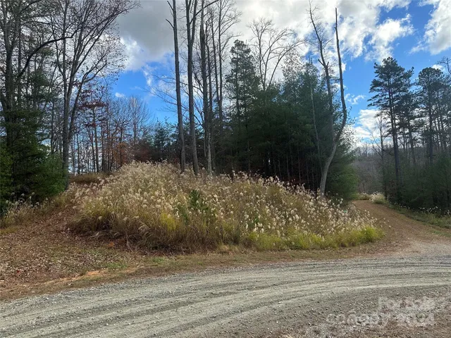 a view of a yard with plants and trees