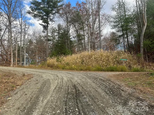 a view of a yard with a tree