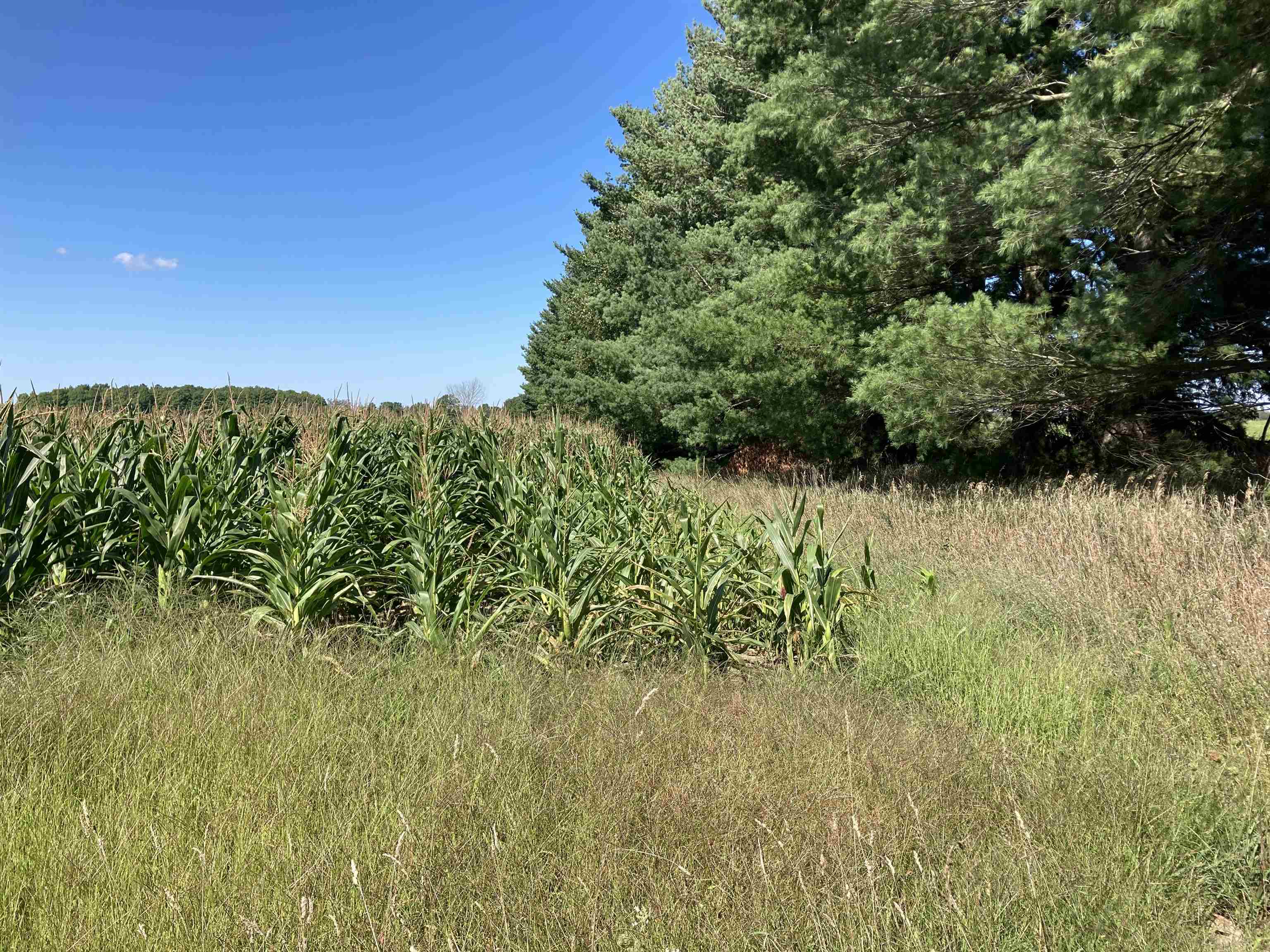 Vl East Vl E Sparling Road Kingsley, MI 49649 - Photo 12 of 12