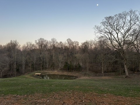 2928 Mosley Ferry Road Ashland City, TN 37015 - Photo 35 of 35