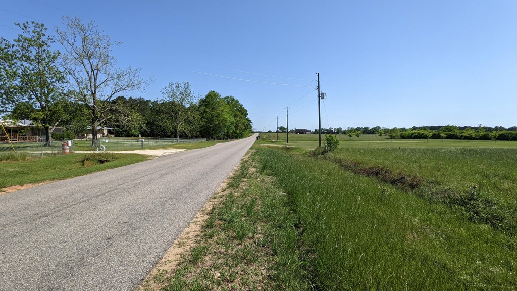 0 Suggs Rd/co Road Headland, AL 36345 - Photo 3 of 5