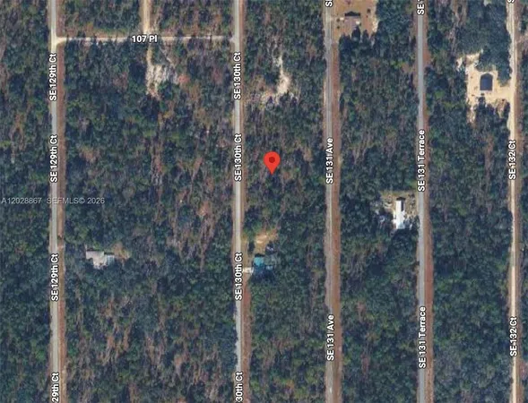 $12,000 | Lot 49 Southeast 130th Court, Dunnellon, FL 34431