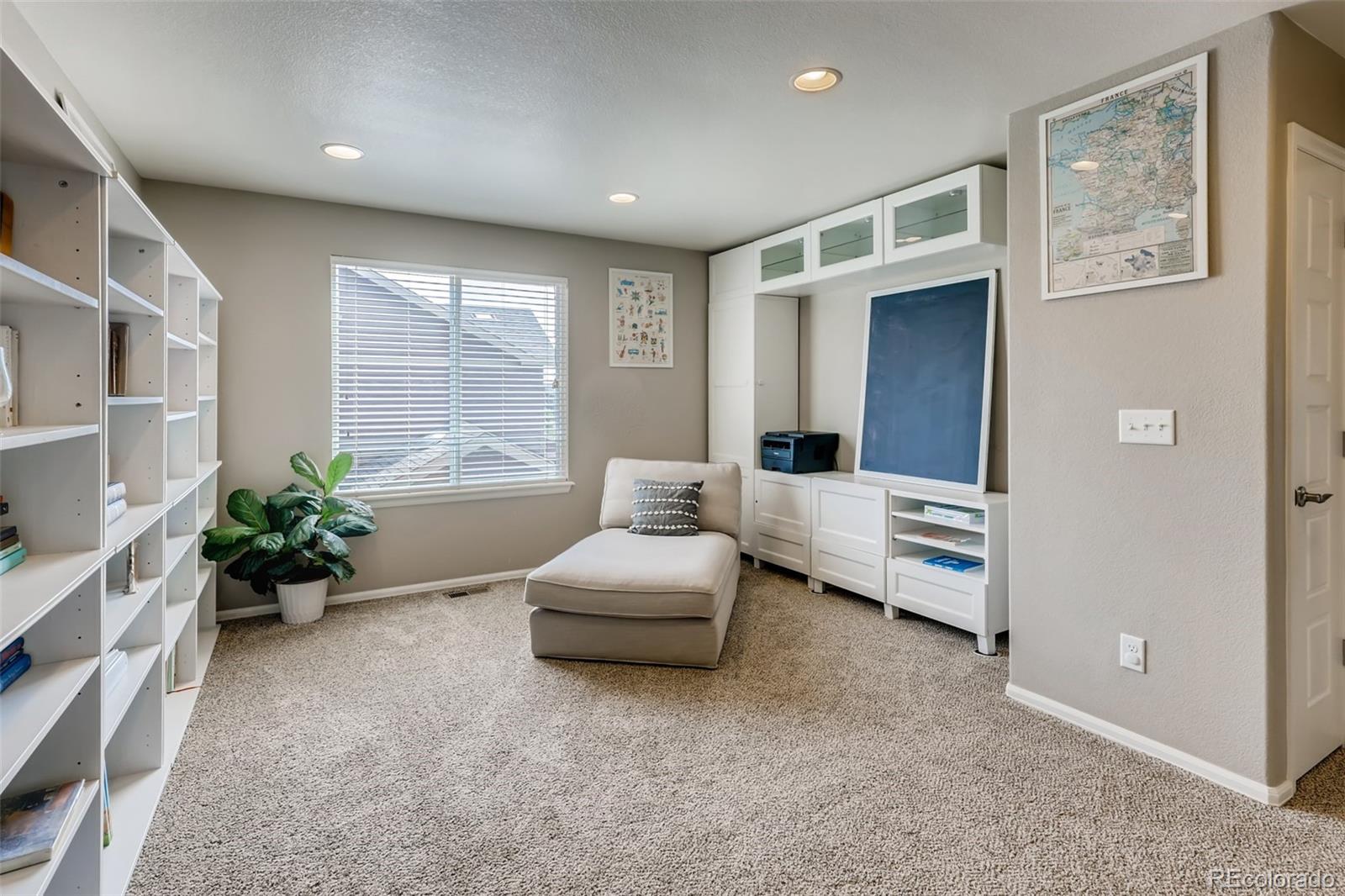 8537 Raspberry Drive Frederick, CO 80504 - Photo 18 of 31 a living room with furniture potted plant and windows
