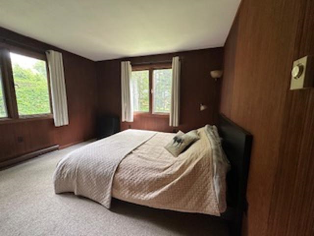 29 Mountain View Loop West Dover, VT 05356 - Photo 24 of 48