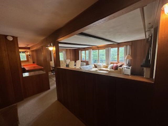 29 Mountain View Loop West Dover, VT 05356 - Photo 7 of 48