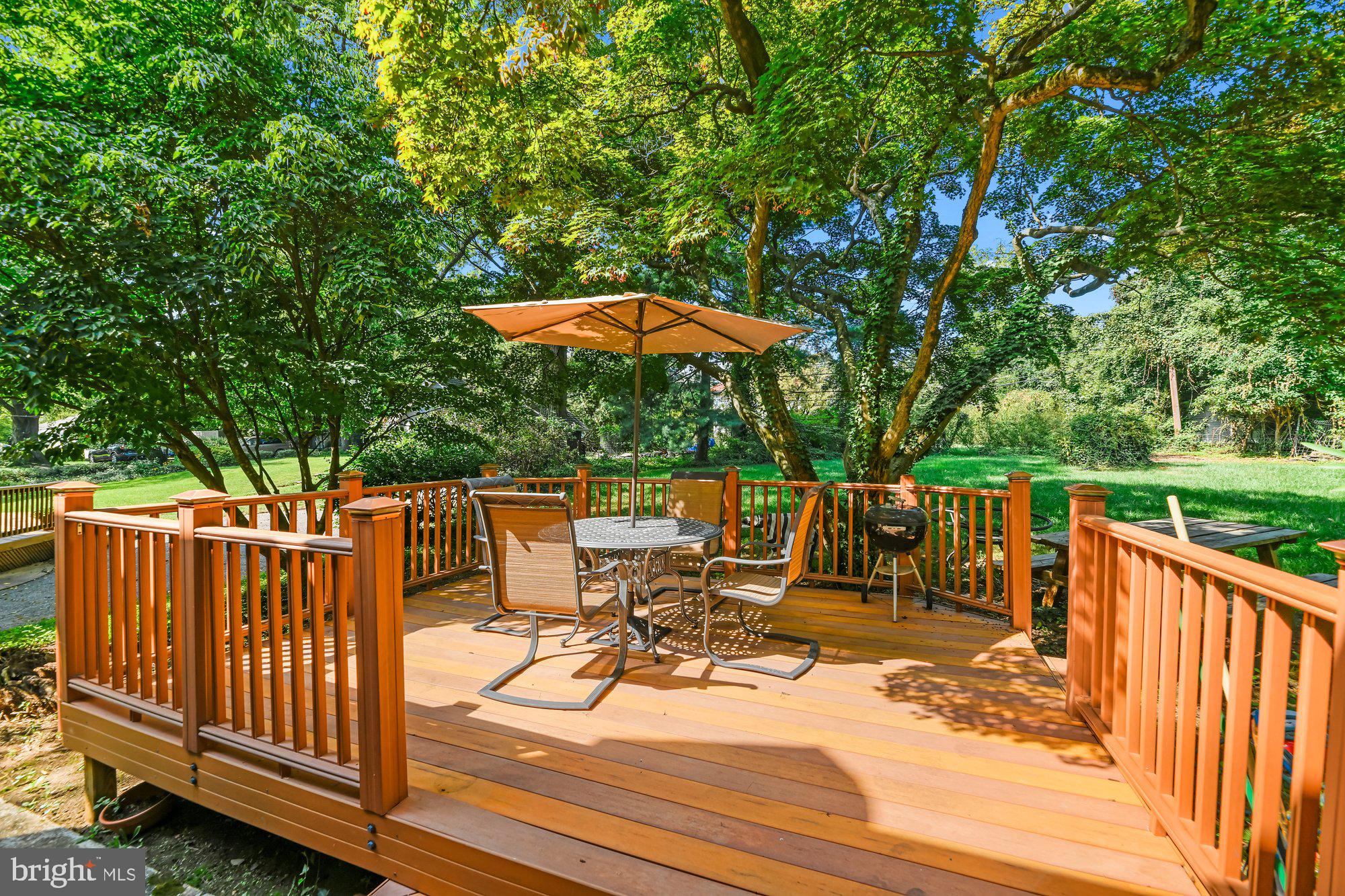520 Old Orchard Road Baltimore, MD 21229 - Photo 19 of 26 No Maintenance Deck